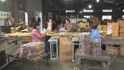 福建武夷山:有序推動企業復工復產