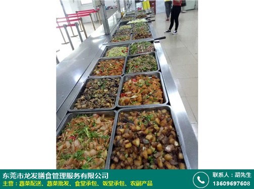 茶山中學食堂承包資質工廠*_龍發膳食